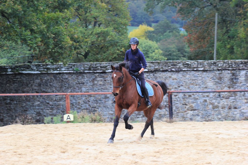 cours particulier et travail du cheval avec lucie bardin à ecurie de la cherbonnais