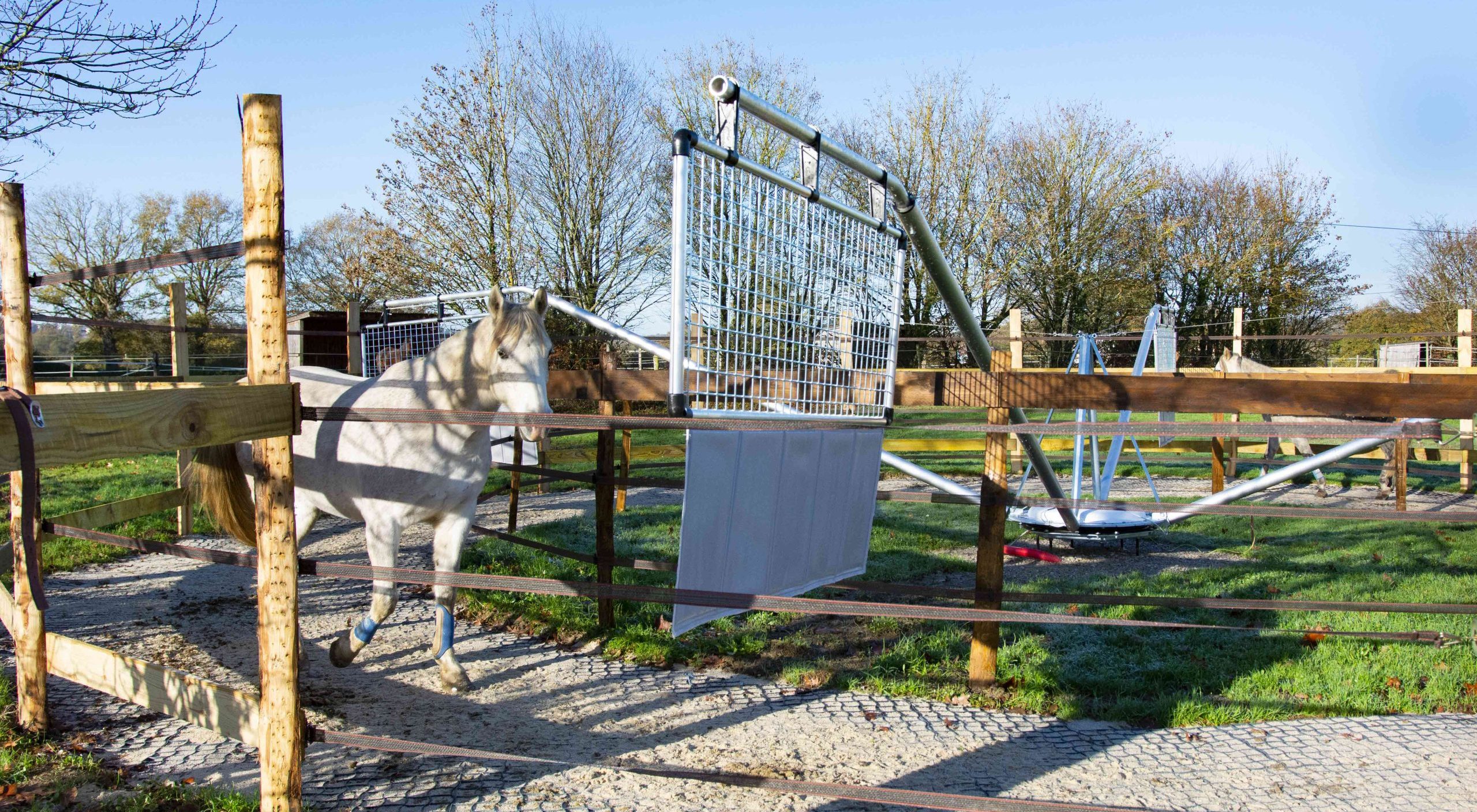 cheval dans marcheur écurie de la cherbonnais