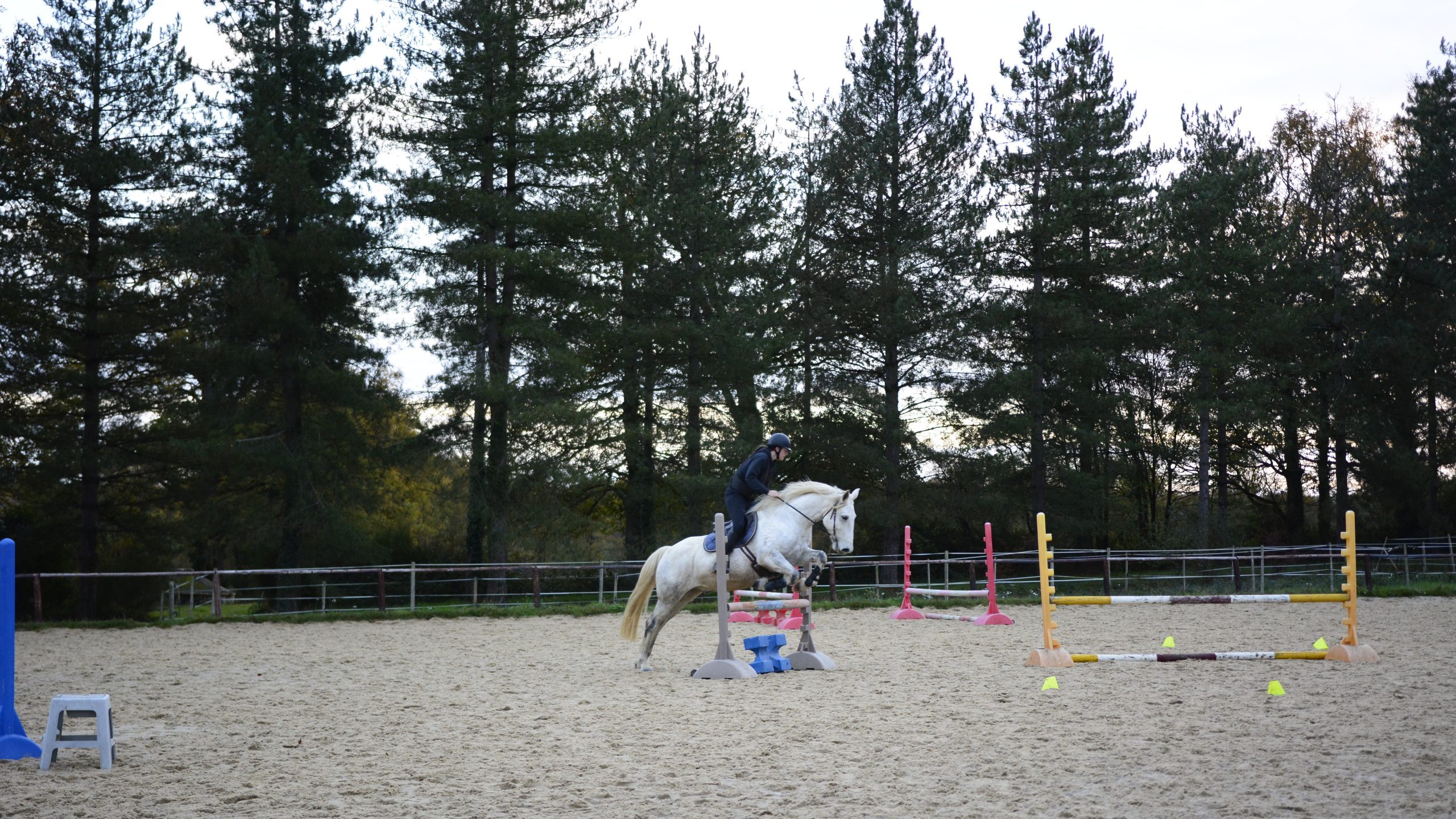 saut d'obstacle dans carriere de bagatz, ecurie de proprietaire