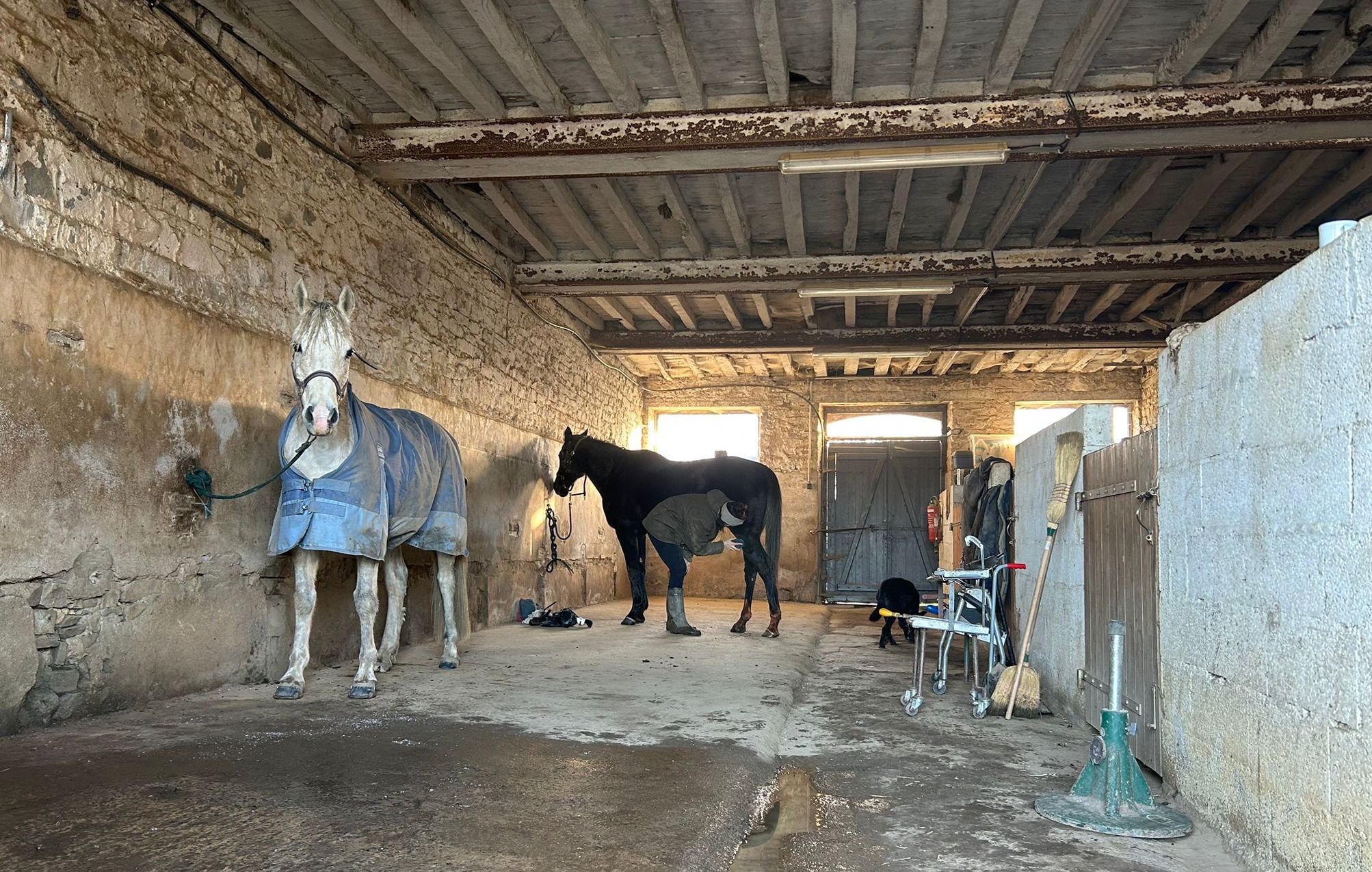 aire de soin sécurisée ecurie de la cherbonnais pres de rennes
