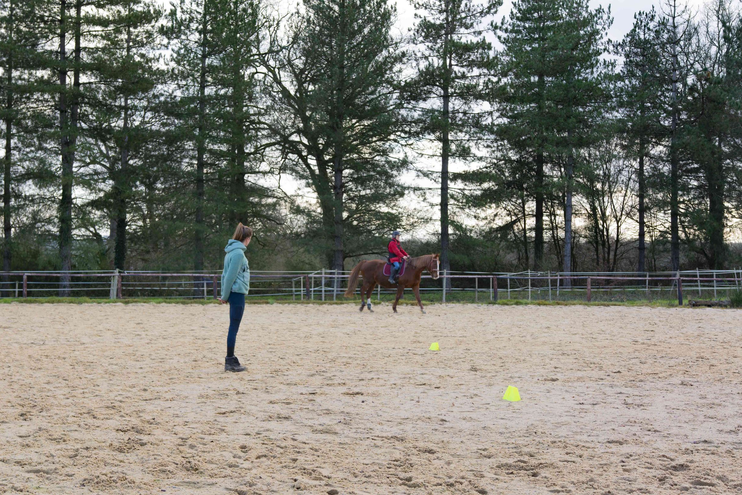 lucie bardin monitrice equitation cours particuliers
