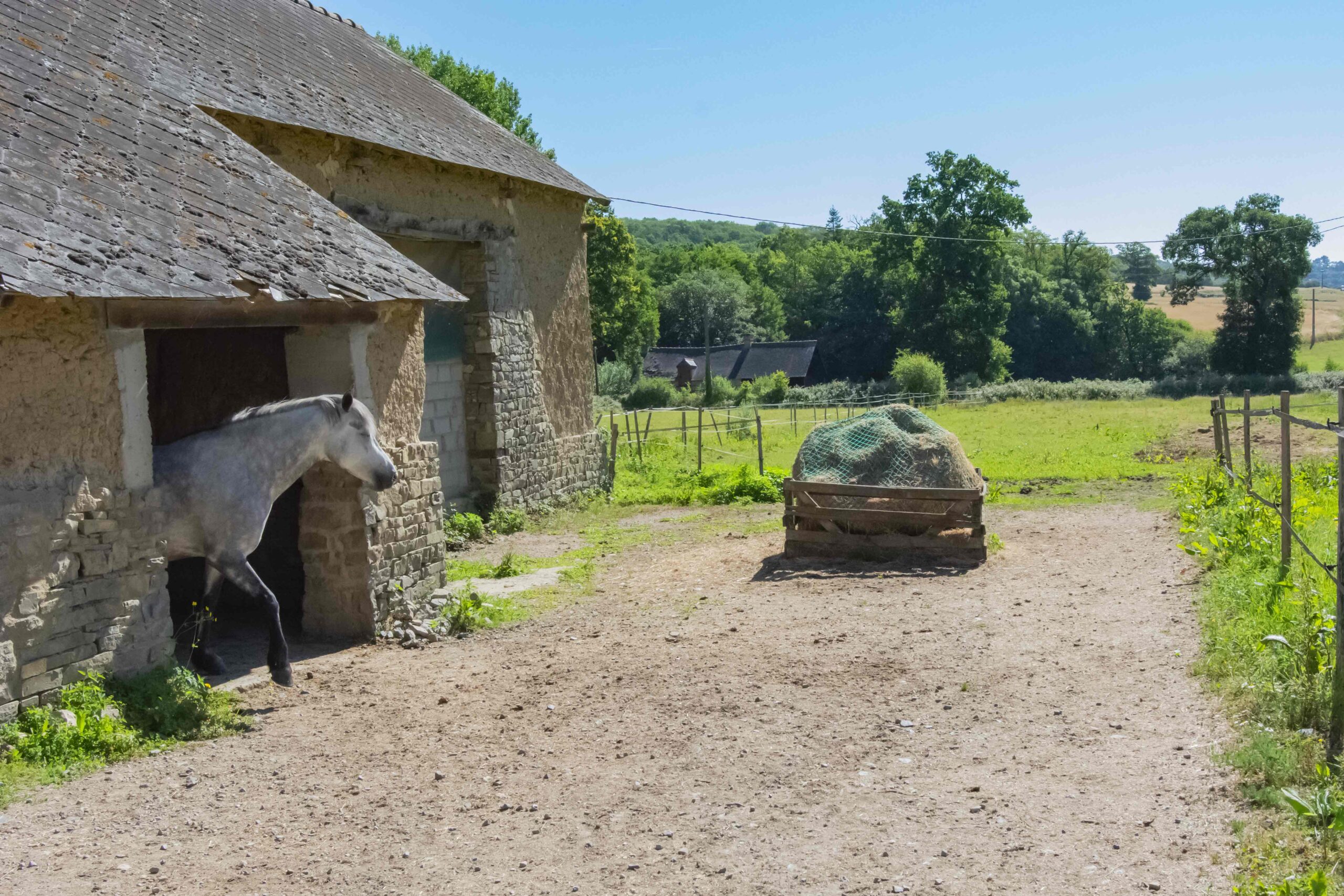 ecurie avec dalle ouverte sur pature toute l'année à guichen