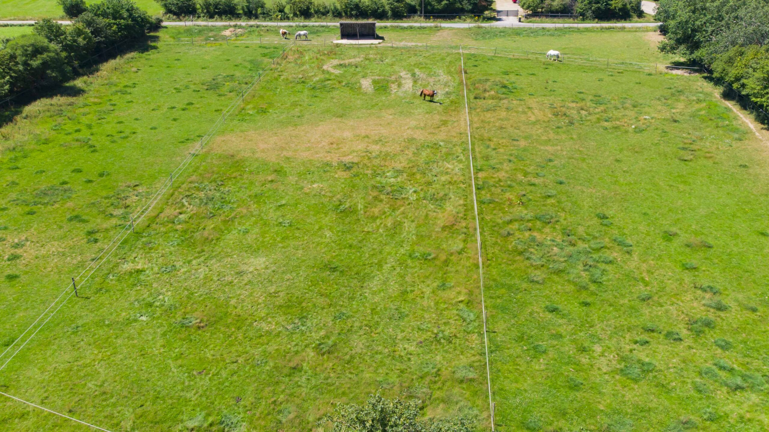 rotation pature pour herbe toute l'année